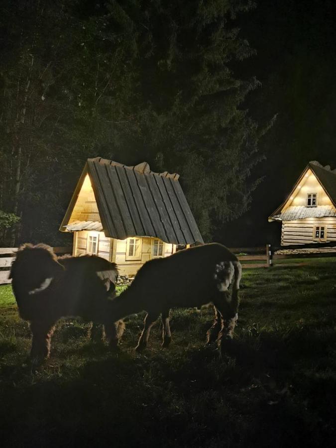 Zagroda Krowiarki Хохолув Екстер'єр фото